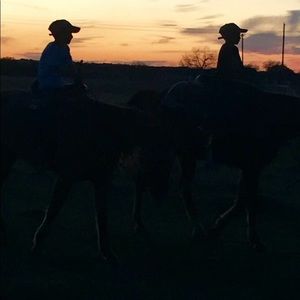 Meet your Posher, Ginger